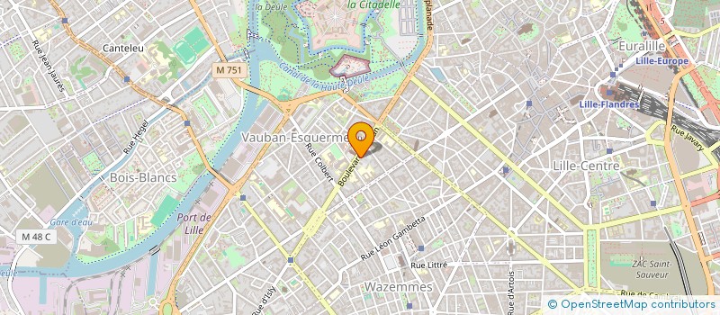localisation de l'entreprise MICROCLUB INFOR INSTI ECONO SCIEN GESTIO à LILLE