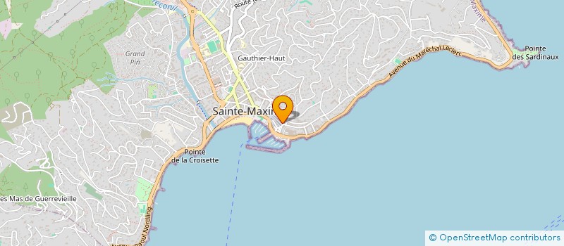 localisation de l'entreprise MICROMAX MEDIACOM  SAINTE-MAXIME