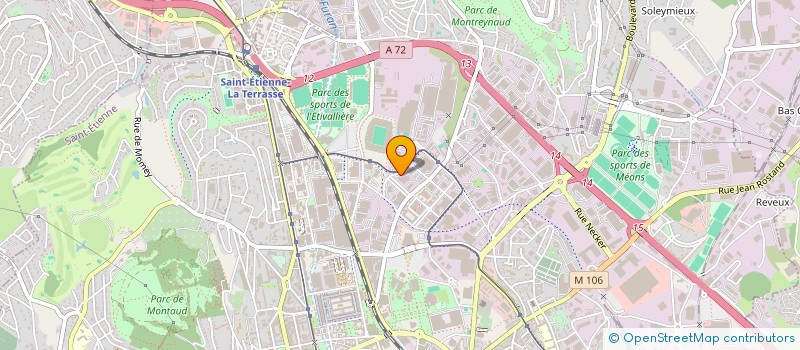 localisation de l'entreprise MICRORECTIF à SAINT-ETIENNE