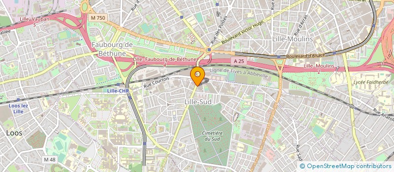 localisation de l'entreprise MICROSIX à LILLE