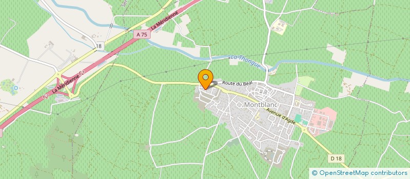 localisation de l'entreprise MIDDLE PLUS  MONTBLANC