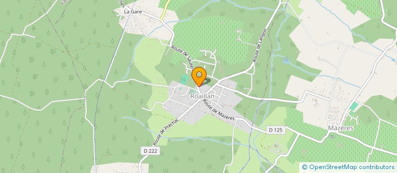 localisation de l'entreprise MIEL GONCALVES  ROAILLAN