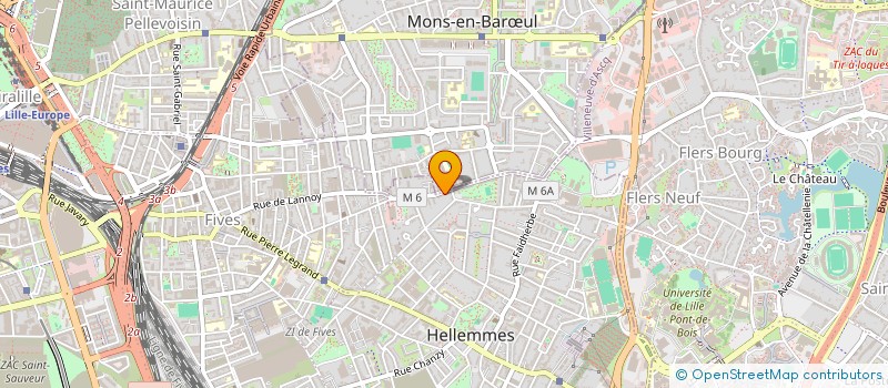 localisation de l'entreprise MIHO STORE à LILLE