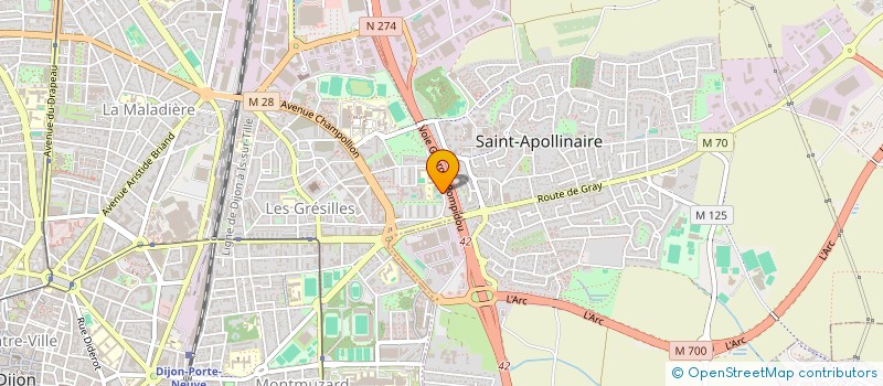 localisation de l'entreprise MILLE ET UNE GAZELLES  DIJON