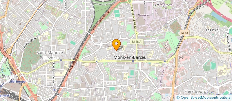 localisation de l'entreprise MILLE ET UNE PATTOUNES  LOOS