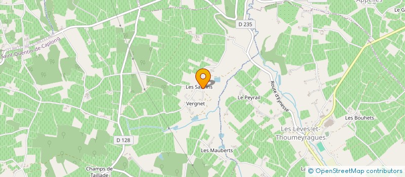 localisation de l'entreprise MILLE SERVICES à SAINT-QUENTIN-DE-CAPLONG