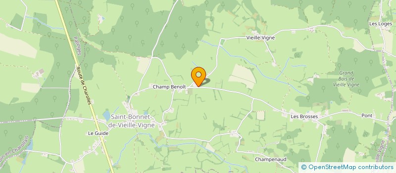 localisation de l'entreprise MIM'S FAMILY  SAINT-BONNET-DE-VIEILLE-VIGNE