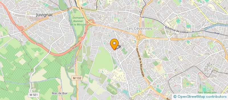localisation de l'entreprise MIMI IMMO à MONTPELLIER