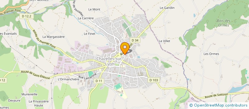 localisation de l'entreprise MINELLI  CHAZELLES-SUR-LYON