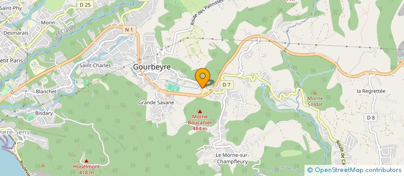 localisation de l'entreprise MINERAL  GOURBEYRE