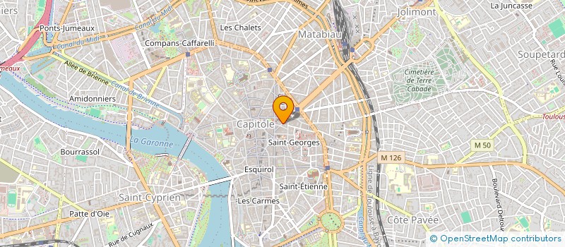 localisation de l'entreprise MINI CONSERVATOIRE DU SUD OUEST  TOULOUSE