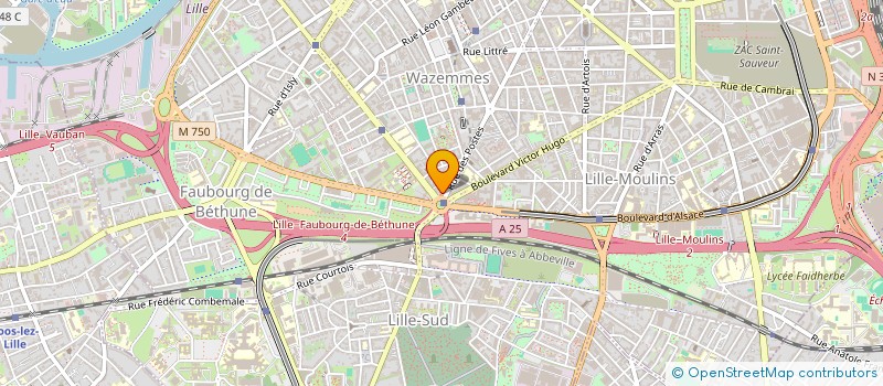localisation de l'entreprise MINI MARKET à LILLE