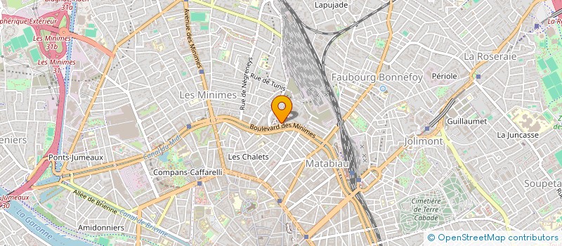 localisation de l'entreprise MINIMES LES RAISINS à TOULOUSE