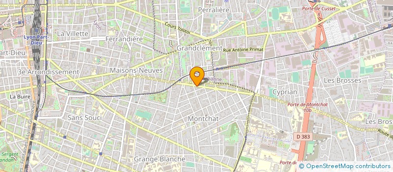 localisation de l'entreprise MIRAL  LYON