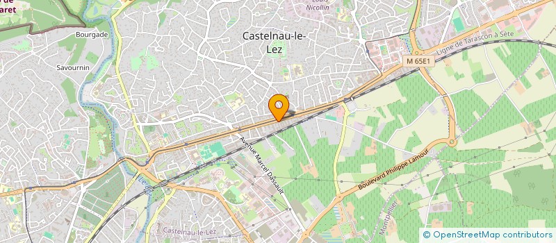 localisation de l'entreprise MIRIFIQUE COSMETICS à CASTELNAU-LE-LEZ