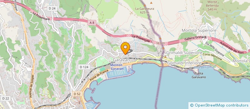 localisation de l'entreprise MIRLI à MENTON