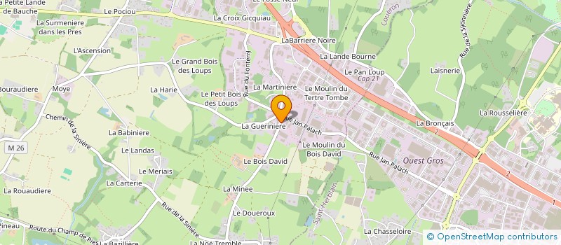 localisation de l'entreprise MIRO à COUERON