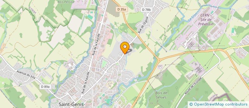 localisation de l'entreprise MIRYA EVENT & LOC  SAINT-GENIS-POUILLY