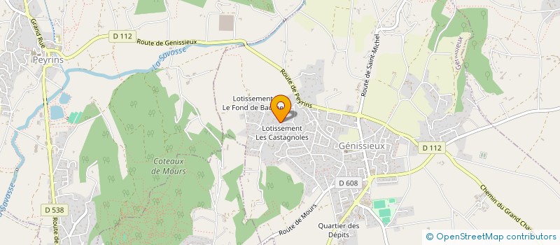 localisation de l'entreprise MISCIOSCIA CONSEIL IMMOBILIER  GENISSIEUX