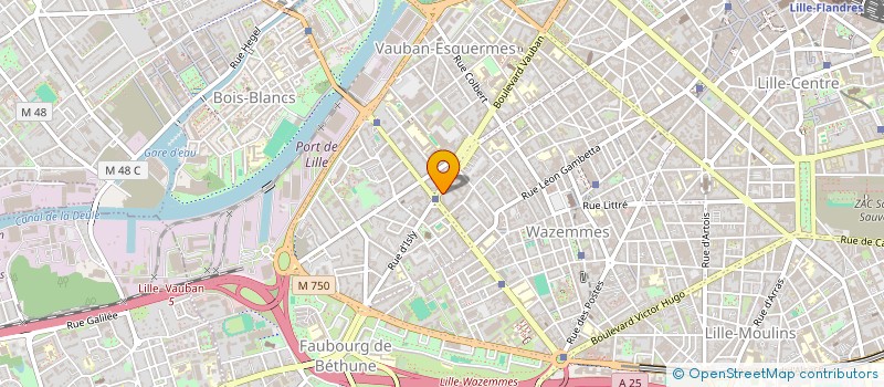 localisation de l'entreprise MISSECA à LILLE
