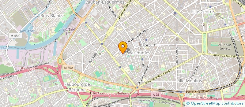 localisation de l'entreprise MISTER HOMEMADE à LILLE