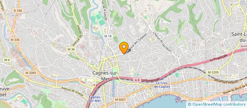 localisation de l'entreprise MITCHELL JOHNSON à CAGNES-SUR-MER