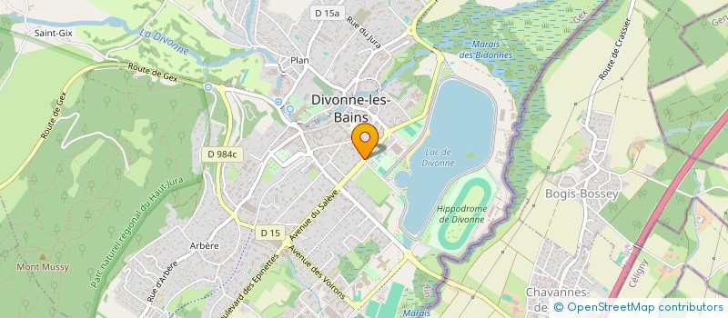 localisation de l'entreprise MIYAKI  DIVONNE-LES-BAINS