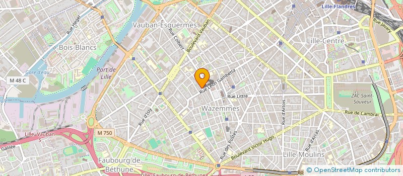 localisation de l'entreprise MIZANIA à LILLE