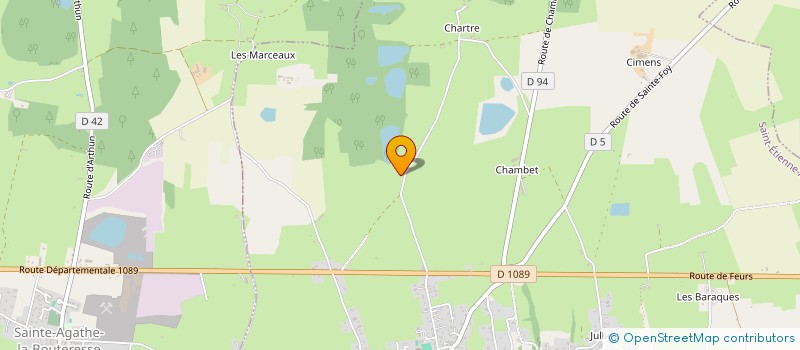 localisation de l'entreprise MJ INVEST  SAINT-ETIENNE-LE-MOLARD