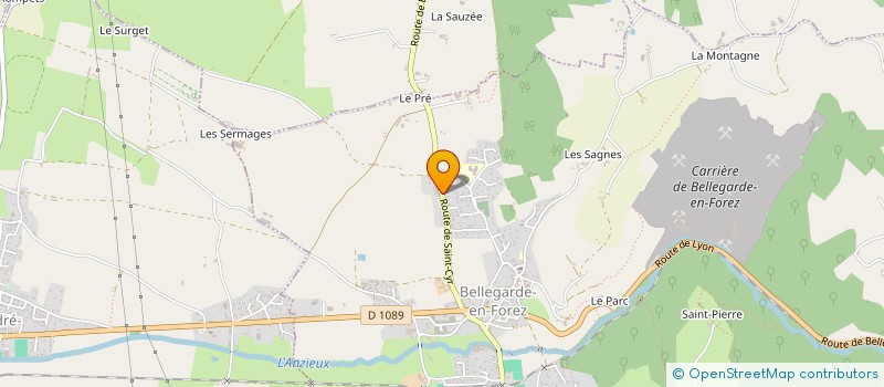 localisation de l'entreprise MJ. TAMEGA  BELLEGARDE-EN-FOREZ