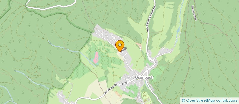 localisation de l'entreprise MJ2N-CONSEIL  SOULTZMATT