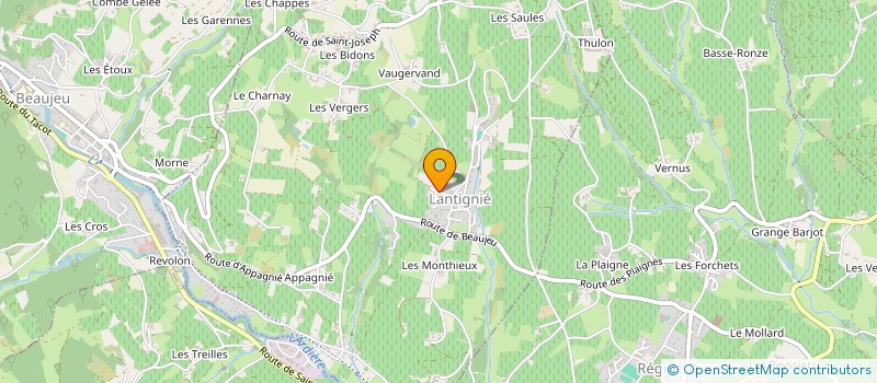 localisation de l'entreprise MJG DELACHEVALIERE  BEAUJEU