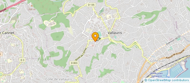 localisation de l'entreprise ML2C PROMOTION à VALLAURIS
