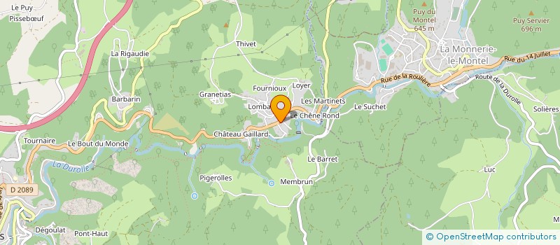 localisation de l'entreprise MLF  THIERS