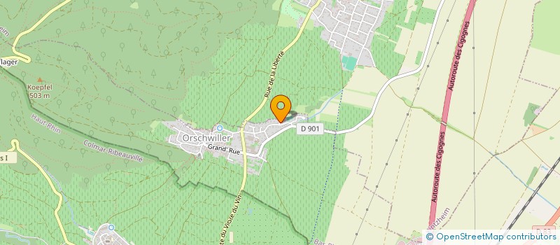 localisation de l'entreprise MLP AVENIR  ORSCHWILLER