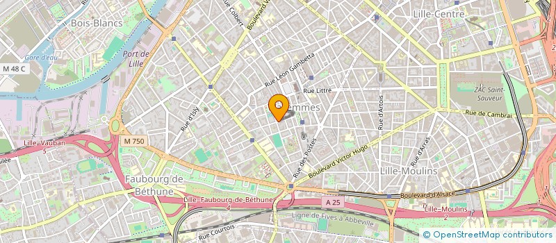 localisation de l'entreprise MLZ à LILLE