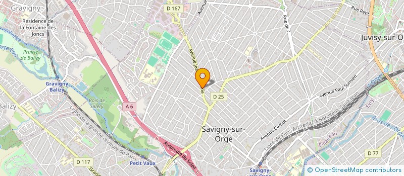 localisation de l'entreprise MME DETTWILLER MR RABOTEAU  SAVIGNY-SUR-ORGE