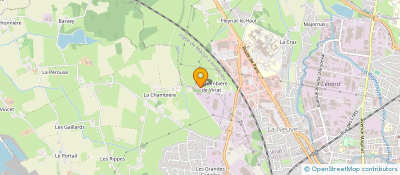 localisation de l'entreprise MME MILLET CORINNE OU MLLE ANABELLE MILLET à VIRIAT