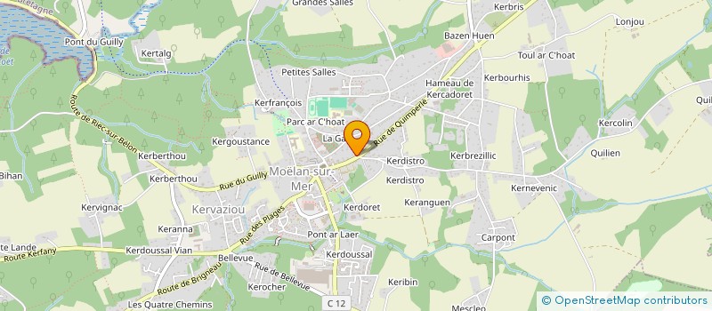 localisation de l'entreprise MMJ - MAINTENANCE DE MATERIELS DE JARDINAGE  MOELAN-SUR-MER