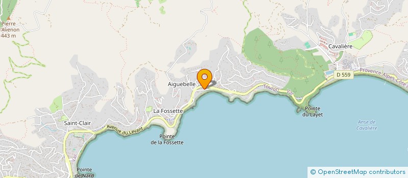 localisation de l'entreprise MMPIMMO à LE LAVANDOU