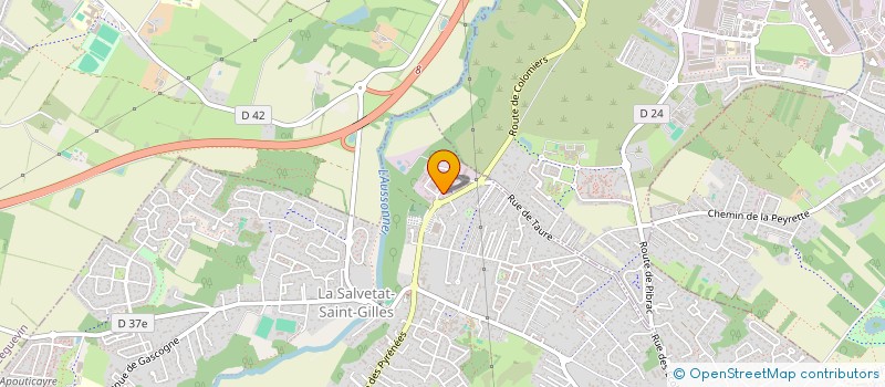 localisation de l'entreprise MN  LA SALVETAT-SAINT-GILLES