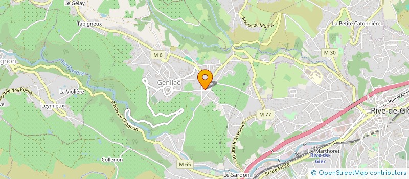 localisation de l'entreprise MN IMMO  GENILAC