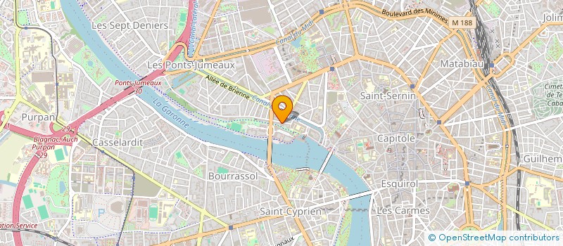 localisation de l'entreprise MNG SASU  TOULOUSE