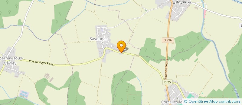 localisation de l'entreprise MNIMMO  SAVOUGES