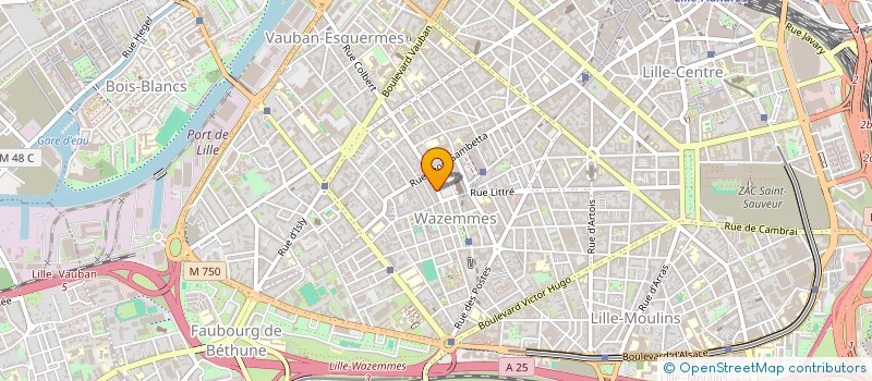 localisation de l'entreprise MOBILE SERVICE à LILLE