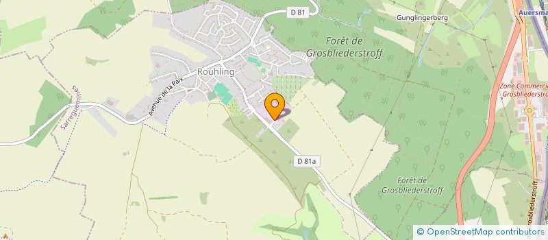 localisation de l'entreprise MOBILITE SOLUTION SERVICE  ROUHLING