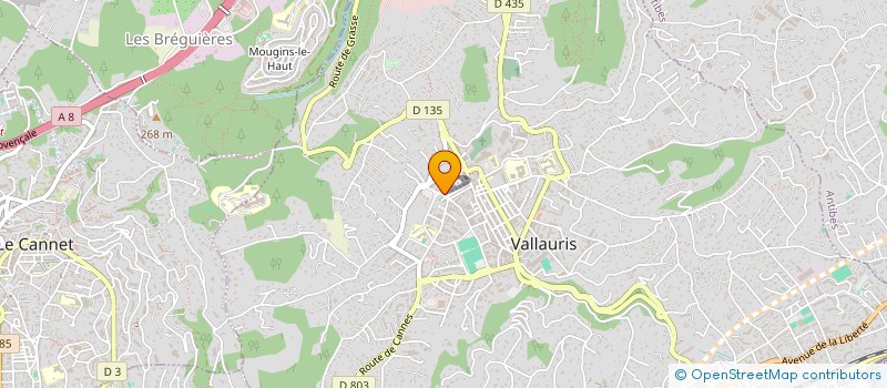 localisation de l'entreprise MODERNE DISTRIBUTION à VALLAURIS