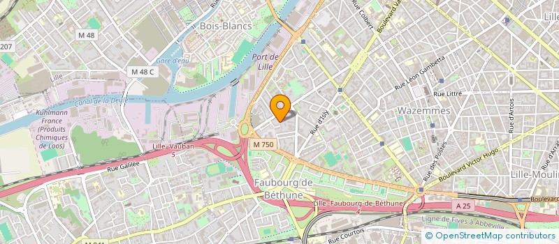 localisation de l'entreprise MOJO à LILLE