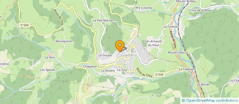 localisation de l'entreprise MOLDAN CONSULTING  GRANDRIS