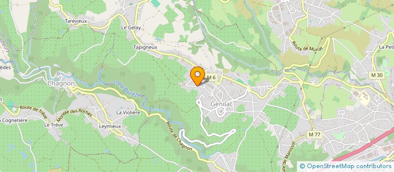 localisation de l'entreprise MOMENTUM ET ELLES  GENILAC